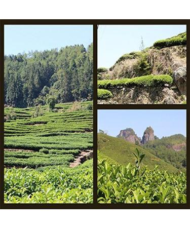 Carbon baked oolong tea carbon baked natural Tieguanyin tea TiKuanYin Oolong tea 125g ( - Buy Online on GoSupps.com