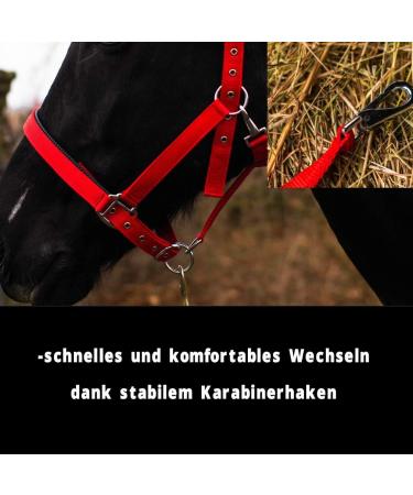Adjustable Horse Halter for Warmbloods Thoroughbreds & Ponies | Safe Tear-Resistant Design | Perfect for Pasture & Stable Use (Red) - Buy Online on GoSupps.com