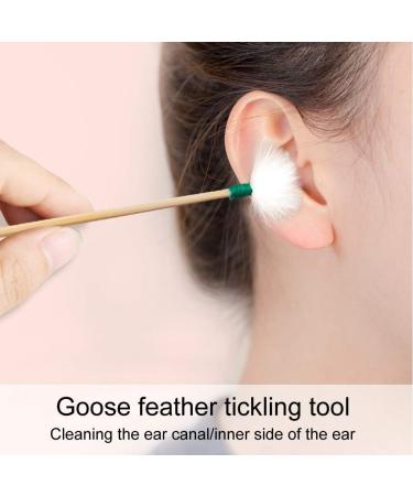Stainless Steel Ear Wax Picker Kit - 9pcs Spiral Design for 360 Degree Cleaning - Buy Online on GoSupps.com