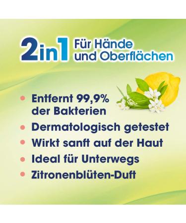 Sagrotan 2in1 Disinfection Towels - Lemon Blossom Fragrance - 30 Towels (2-Pack) for Hands & Surfaces - Hygienic Cleaning Solution - Buy Online on GoSupps.com