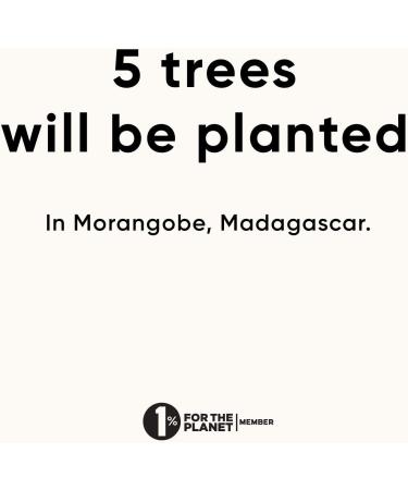 Urth Lens Mount Adapter | Canon EF/EF-S Lens to Sony E Camera Body Compatible - Buy Online on GoSupps.com
