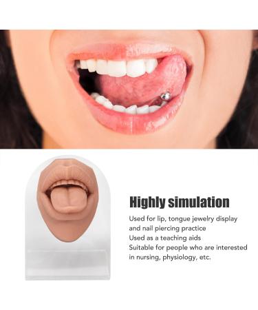 Soft Silicone Tongue Model - Realistic Fake Tongue for Piercing Practice & Jewelry Display - Flexible Human Mouth Shape with Teeth - Buy Online on GoSupps.com