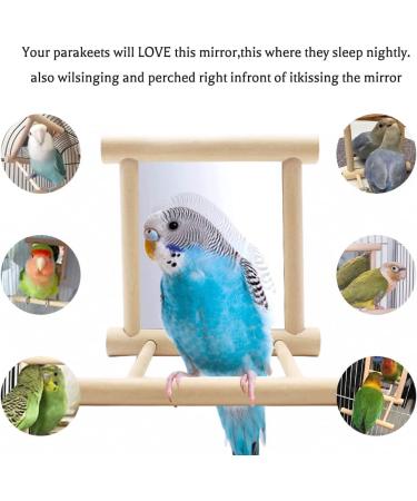 Fainfun Bird Mirror with Perch - 10x10 cm Budgie Toy Wooden Bird Stand with Mirror for Parrots Pigeons & Canaries - Buy Online on GoSupps.com