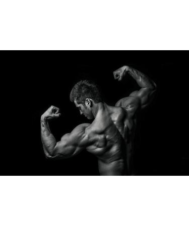 Dyanabol Beta Alanine 120 Capsules | Pre Workout Booster for Muscle Growth Endurance & Pump - International Shipping Available - Buy Online on GoSupps.com