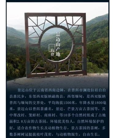 Pu-erh tea 2017 SHENG JIA YUAN ( ) Jingmai Mountain (Pure Ancient Trees) 357g Raw - Buy Online on GoSupps.com