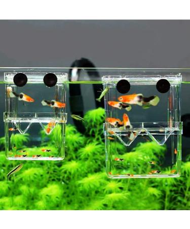 In-Tank Aquarium Breeder Box for Fish Tank | Acrylic Divider for Shrimp Clownfish | Small Fish Hatchery and Incubator - Ideal for Breeding, Isolating Aggressive or Injured Fish - Buy Online on GoSupps.com