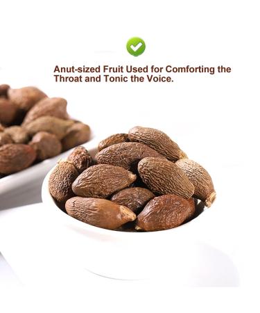 Malva Nut 125G - Fat Dried Sterculia Lychnophora | Premium Pangdahai Chinese Health Tea | International Shipping - Buy Online on GoSupps.com