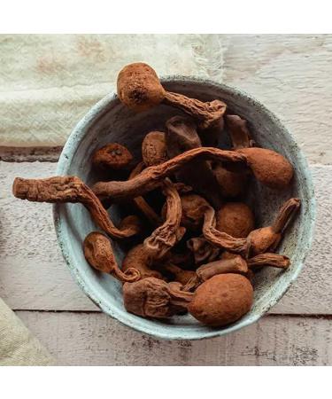 Men s Wellness Bundle Huanarpo Macho & Black Maca 120 Capsules + Prossbio Herbal Blend 100 Capsules Premium Natural Support Non-GMO - Buy Online on GoSupps.com