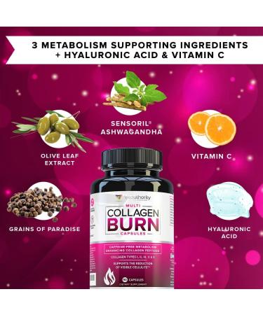 Multi Collagen Burn: Multi-Type Hydrolyzed Protein Peptides with Hyaluronic Acid Vitamin C SOD B Dimpless Types I II III V and X Caffeine-Free (Unflavored Capsules) - Buy Online on GoSupps.com