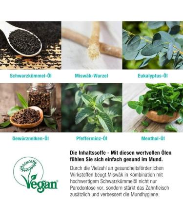 Beovita Lions Den Toothpaste - Black Cumin & Mint Cream (3 x 75 ml) | Organic Dental Care - Buy Online on GoSupps.com