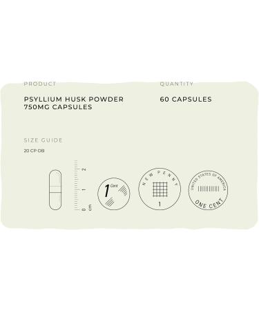 Fitness Health Psyllium Husks Powder Capsules 500MG - Fibre Supplement from Pure Psyllium Husks Powder - Digestion Plantago Ovata Powder - Premium Quality Nutritional Supplement - 60 Capsules 60 Count (Pack of 1) - Buy Online on GoSupps.com