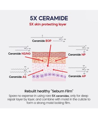2% Niacinamide Gel Moisturizer - Anti-Blemish Face Cream with Vitamin E 5x Ceramide & Hyaluronic Acid | Improve Skin Tone Reduce Pores - 2.71 fl. oz - Buy Online on GoSupps.com