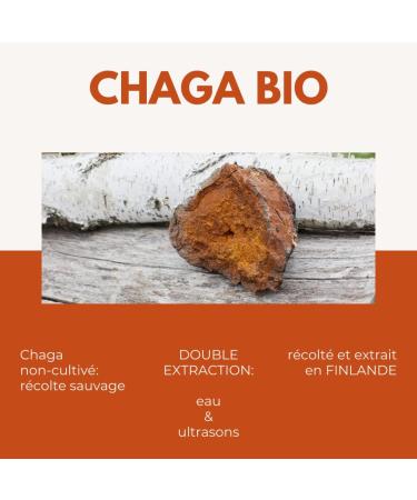 Siho - Organic Chaga Extract - Health and Immune System Dietary Supplement - Finnish Chaga 100% Organic Highly Bioavailable No Additives - Pot of 90 Capsules - Buy Online on GoSupps.com