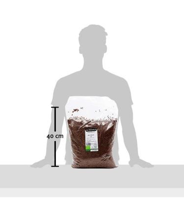 Oltresole Organic flax seeds 3 kg Raw fatty seeds whole and dark rich in minerals and fiber ideal for healthy recipes source of omega-3 100% natural - Buy Online on GoSupps.com