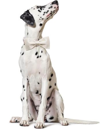 Lionet Paws White Silk Wedding Dog Collar with Removable Fly - XL for Dogs Neck 40-66cm | Comfortable & Stylish Pet Accessory - Buy Online on GoSupps.com