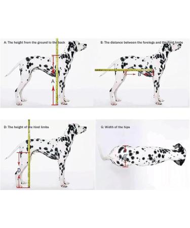 Dog Wheelchair Aluminum Alloy Pet Wheelchair 2 Wheels Dog Wheelchair for Back Legs Pet Dog Rehabilitation Aid Cart for Medium Dogs Wheelchair Portable Large - Buy Online on GoSupps.com