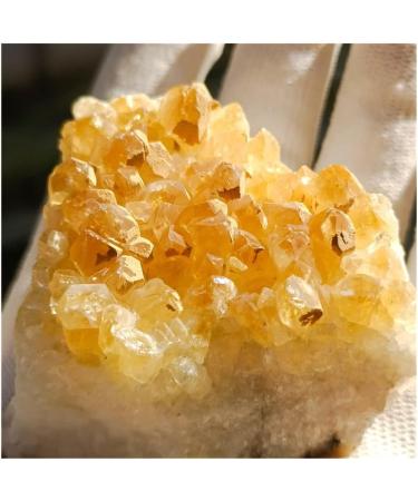 1pc Natural Raw Citrine Quartz Geode Yellow Crystal Cluster Crystals Rough Specimen Stone Crafts Home Decor Great Choice for Home Decoration kaixun (Size : 190-240g) - Buy Online on GoSupps.com