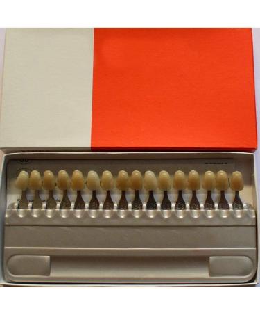 16 Colors Teeth Whitening Shade Guide | 3D Tooth Color Chart - Complete Set - Buy Online on GoSupps.com