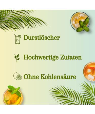 OISHI Green Tea Genmai - 500 ML | Authentic Japanese Green Tea | Buy 1-Pack Online - Buy Online on GoSupps.com