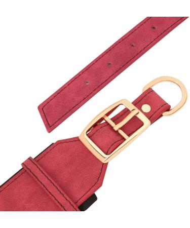 Personalized Red Padded Leather Dog Collar with Name Tag | Medium-Sized Dogs | Custom Engraved Collars - Neck 33-41cm Width 3cm - Buy Online on GoSupps.com