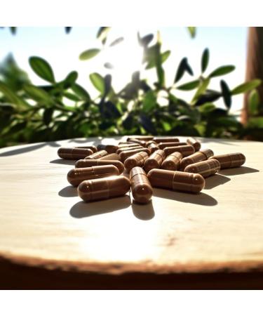 Ceylon Cinnamon by Nutritionn - 1200 mg Once-Daily 600 mg Capsules - 100% Pure Natural Premium Antioxidant Supplement - Buy Online on GoSupps.com