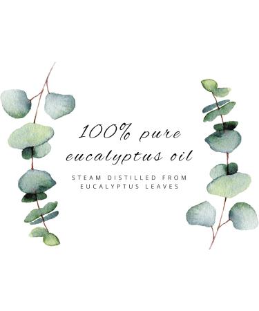 GreenHealth Eucalyptus Essential Oil 4 fl oz 100% Pure & Natural Aromatherapy Oil for Diffuser, Air Freshener, Cleaning, Home Fragrance Therapeutic Grade Large Value Size Eucalyptus 4 fl oz (Pack of 1) - Buy Online on GoSupps.com