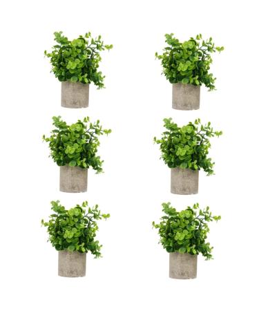 Zerodeko 6 Pcs Simulated Potted Plant Faux Greenery Fake Plant Decor Green Decor Mini Plants Mini Succulent Plants Upholstery Trim Simulation Green Plant Plastic Eucalyptus Green Plants As Shownx6pcs 22x8cmx6pcs