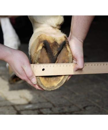 HKM 79559100.1409 Black 6 Brown Hoof Boot - Premium Quality for Optimal Hoof Protection | International Shipping Available - Buy Online on GoSupps.com