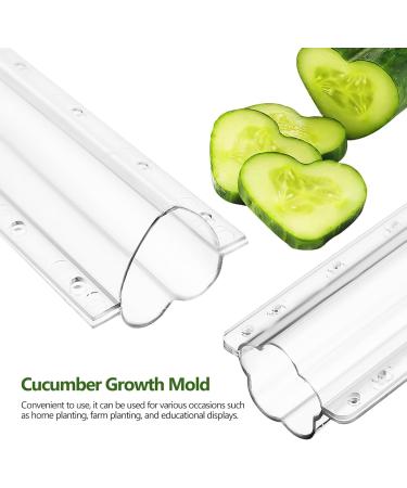 SUPVOX 4 pcs Shaping Mould Moulds Growing Molds Cucumber Growth Fruits Flower Styling Fruit Tool Shapers - Buy Online on GoSupps.com