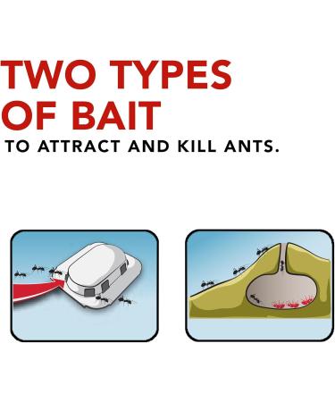 Raid Ant Killer Baits And Traps For Indoor Use Child Resistant 4 Count Trap 4 Count - Buy Online on GoSupps.com
