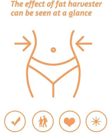 Cr me De Massage Minceur B ton Raffermissant Cr me De Massage Chaud 65 G Format De B ton Raffermissant Pratique Formule Nourrissante Pour La Taille Des Armes Bodly Femmes Routine Quotidienne - Buy Online on GoSupps.com