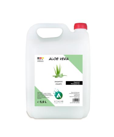 Intercabo Professional Shampoo in Bottle of 5L Aloe Vera liquid shampoo in industrial format 5 liters With filling nozzle Specially for Hairdressers 5000 ml