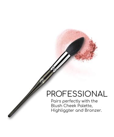 ENERGY Highlighter Brush - Professional Tapered Blush & Makeup Brush for Highlighting & Contouring - Premium Goat Hair Ideal for Loose & Compact Powder - Buy Online on GoSupps.com