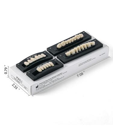 Dental Acrylic Resin Denture False Teeth Set | A2 T6 Synthetic Polymer Resin | Halloween DIY | 28 Pcs - Buy Online on GoSupps.com