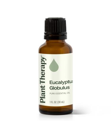 Plant Therapy Eucalyptus Globulus Essential Oil 30 mL (1 oz) for Diffuser Skin Hair Aromatherapy DIYs and Clear Breathing 100% Pure Undiluted Therapeutic Grade