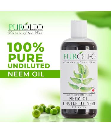 PUROLEO NEEM Oil 16 Fl Oz/473 ML (Packed In Canada) Pure and Natural Neem Oil for Multipurpose Use | Neem Oil extracted from NEEM Plante Chemical free Neem Oil Spray 473 ml (Pack of 1) - Buy Online on GoSupps.com
