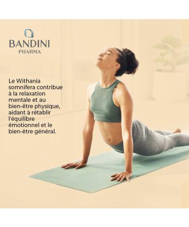 Bandini Ashwagandha BIO KSM-66 Extra Fort - 500mg par dose 5% de witanolides - 180 G lules pour 6 mois - Poudre de Withania Somnifera 100% V gane - Bien- tre Physique & Mental Tonus Concentration - Buy Online on GoSupps.com