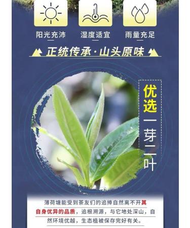 Pu-erh tea 2020 Bohe tang 357g Raw - Buy Online on GoSupps.com