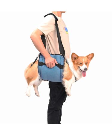Coodeo Dog Carry Sling Emergency Backpack Pet Legs Support & Rehabilitation Dog Lift Harness for Nail Trimming Dog Carrier for Senior Dogs Joint Injuries Arthritis Up and Down Stairs (L Blue) Large Blue