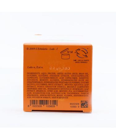LErbolario RinfrescaSole After-Sun Fluid 200ml | Refreshing Mint & Cucumber Extracts for Soothing Skin - Buy Online on GoSupps.com