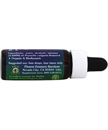 Flower Essence Services Quintessentials Self-Heal Supplement Dropper 0.25 Fluid Ounce - Buy Online on GoSupps.com