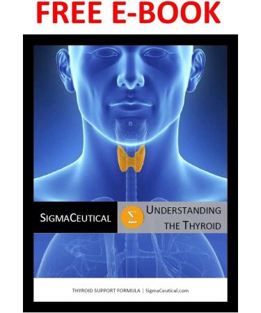 Thyroid Support for Women - Zinc, Selenium, Iodine, Ashwagandha & Kelp Supplement - 120 Capsules - Buy Online on GoSupps.com