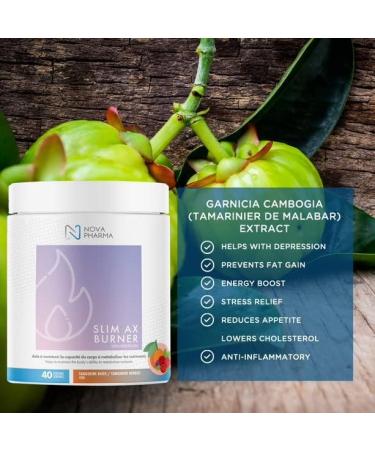 Nova Pharma Pre Workout Powder - Garcinia Cambogia - L Carnitine Supplement - Chromium Supplement - 40 Servings (Tangerine & berries) - Buy Online on GoSupps.com