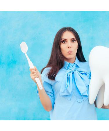 Beavorty Huge 15-Inch Fake Toothbrush | Oversized Novelty Party Gift - 2 Piece Comedy Articles - Buy Online on GoSupps.com