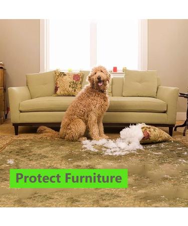 100% Natural Dog Trainer & Repellent Spray - Stops Chewing, Digging & Fouling - Safe for Adult Dogs & Puppies - Indoor & Outdoor - Makes 40+ Bottles - Buy Online on GoSupps.com