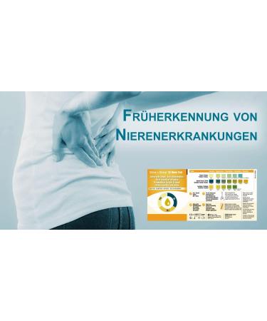 One+Step Kidney Test - 5 Urine Test Strips for Creatinine Protein & Specific Gravity | Fast International Shipping - Buy Online on GoSupps.com