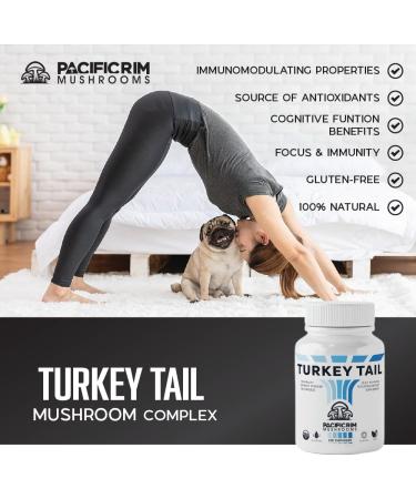 Pacific Rim Mushrooms Turkey Tail Supplement | High Potency 10:1 extract | 1000 mg per serving | Immune System and Digestive Support | 300 Capsules 300 count (Pack of 1) - Buy Online on GoSupps.com