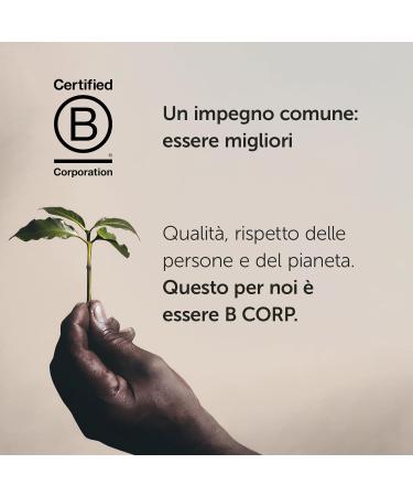 Illy Classic Toasted Moka Coffee 200g - Buy Online on GoSupps.com