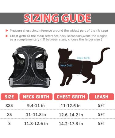 Cat Dishes Set with Leash | Breakout Cat Feeders for Kittens & Puppies | International Shipping Available - Buy Online on GoSupps.com