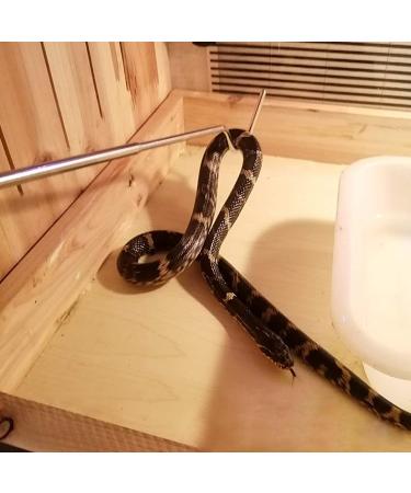 Cabilock Collapsible Snake Grabber Stick - Professional Stainless Steel, Extendable 68cm, for Reptile Handling, Home Garden and Outdoor Use - Buy Online on GoSupps.com